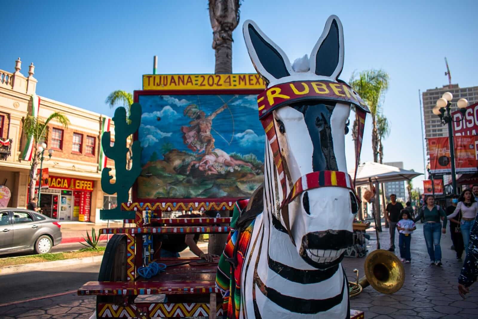 Presentan prototipo de madera para sustituir a los burros cebra en la Revu de Tijuana