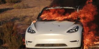 Otro vehículo Tesla quedó destruido en cenizas en Baja California.