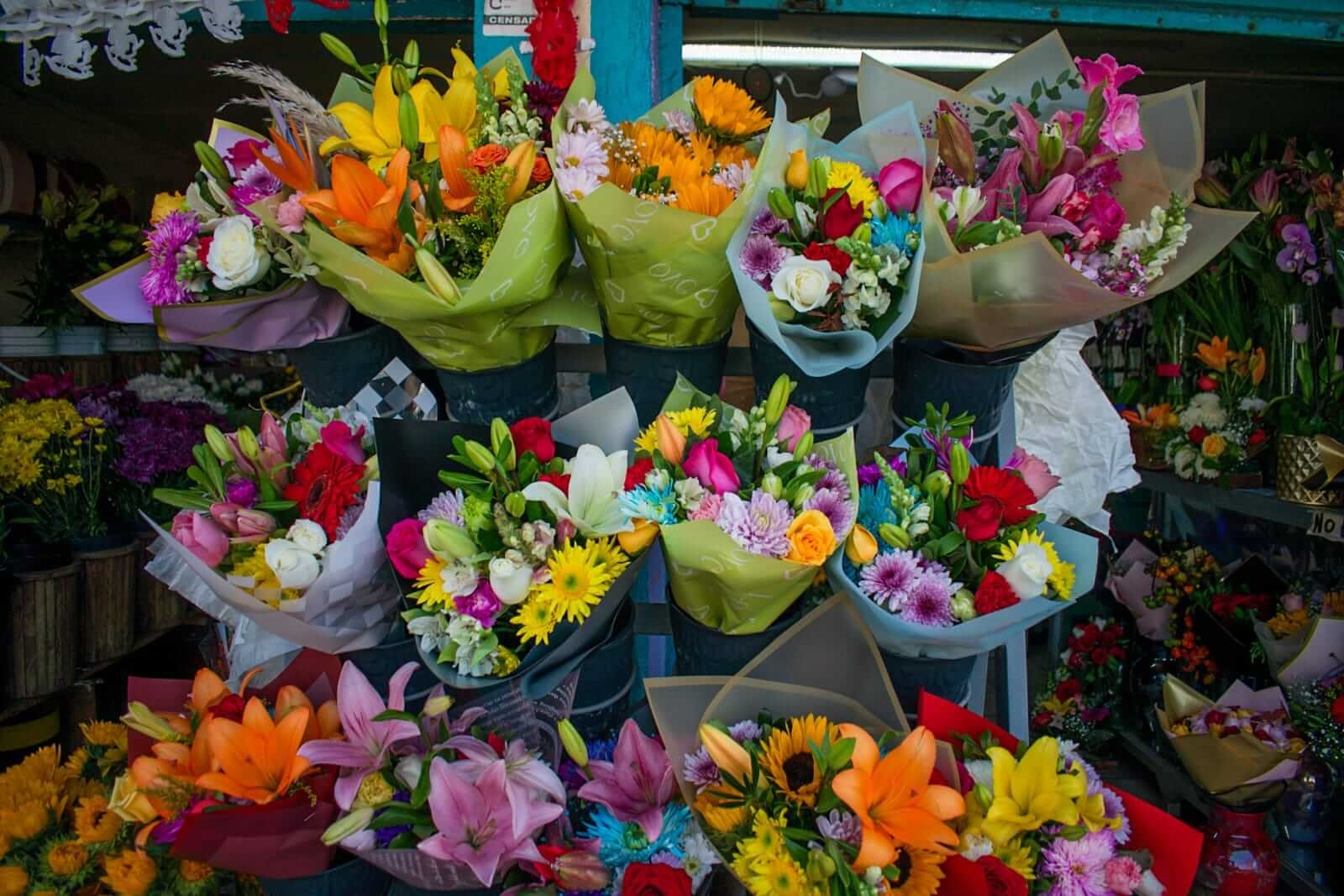 Flores