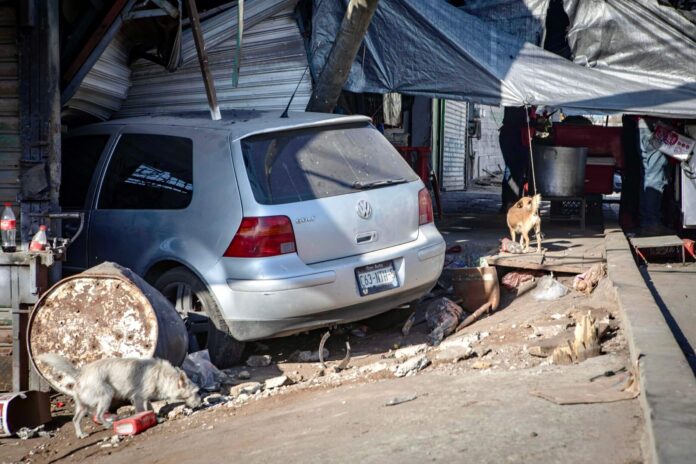 Le fallaron los frenos y terminó dentro de un negocio en Tijuana. Le fallaron los frenos y terminó dentro de un negocio en Tijuana.