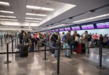 Aumentó la demanda de vuelos en el aeropuerto de Tijuana por las vacaciones.