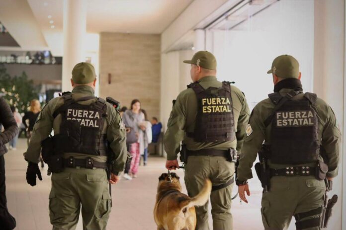 Fuerza Estatal