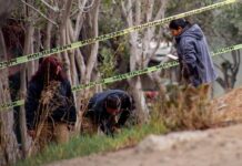 Hallaron cuerpo con huellas de violencia cerca de la Línea de San Ysidro.