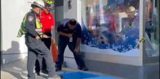 Trabajador se desmayó al estar pintando una cisterna profunda en Tijuana.