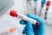 Confirman primer caso de gripe aviar en humanos en México.