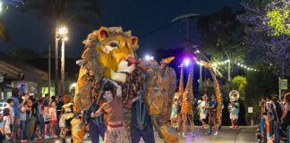 Regresa “Nighttime Zoo” al Zoológico de San Diego.