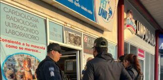 Ayuntamiento clausuró Pet Land en Tijuana por venta ilegal.