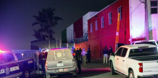 En esta casa de Tijuana se rescató a un Tigre Blanco.