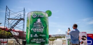 Tijuana buscará el récord Guinness con la margarita más grande del mundo.