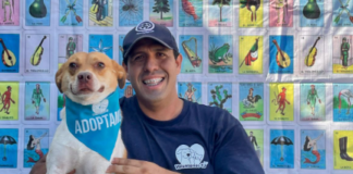 Invitan a la comunidad a ayudar a pasear a los perritos de Control Animal en Tijuana.