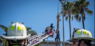 Bomberos rescataron a trabajador que quedó colgado en una palmera de Tijuana.