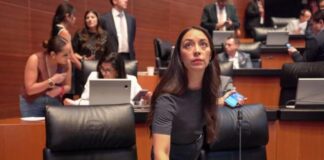 Aprobaron en Senado reforma para cancelar apps de manera fácil en México. Julieta Ramírez en el Senado