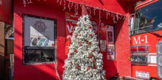 Árbol navideño puede ser uno de los mayores riesgos en casa.