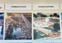 Tijuana tiene 500 terrenos para áreas verdes sin desarrollar por falta de recursos y continuidad en proyectos: CDT.