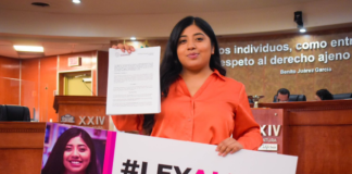 «Ley Alina» podría ser aprobada a nivel nacional.