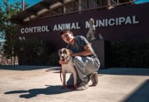 Buscan reforzar Control Animal y promover registro de mascotas en Tijuana