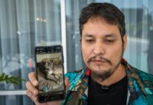 Dueño busca a su perrita Lola extraviada tras escapar de su jaula en el Aeropuerto de Tijuana.