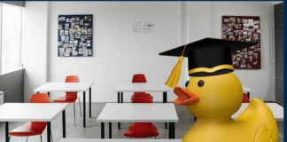 Alertan por escuelas “patito” sin validez oficial en Baja California.