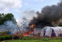 Manifestantes incendian carpas de tratamiento contra ébola en Congo.