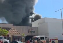 Trágico incendio en centro comercial de Los Mochis dejó 6 víctimas fatales.