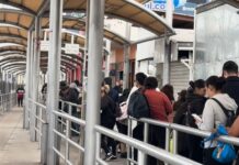 Carril exprés para estudiantes transforma el cruce fronterizo a minutos de espera.