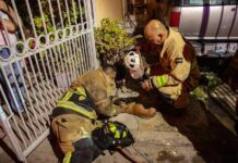 Bomberos rescataron a hombre y su perro durante incendio en Playas de Tijuana.