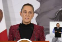 Sheinbaum afirma que FGR tiene «muchas pruebas» contra Ruffo Appel.