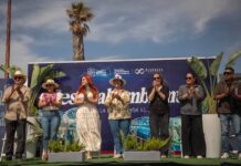 Rosarito vivió el primer Festival Ambiental “Vive la Playa, Cuida el Mar”.