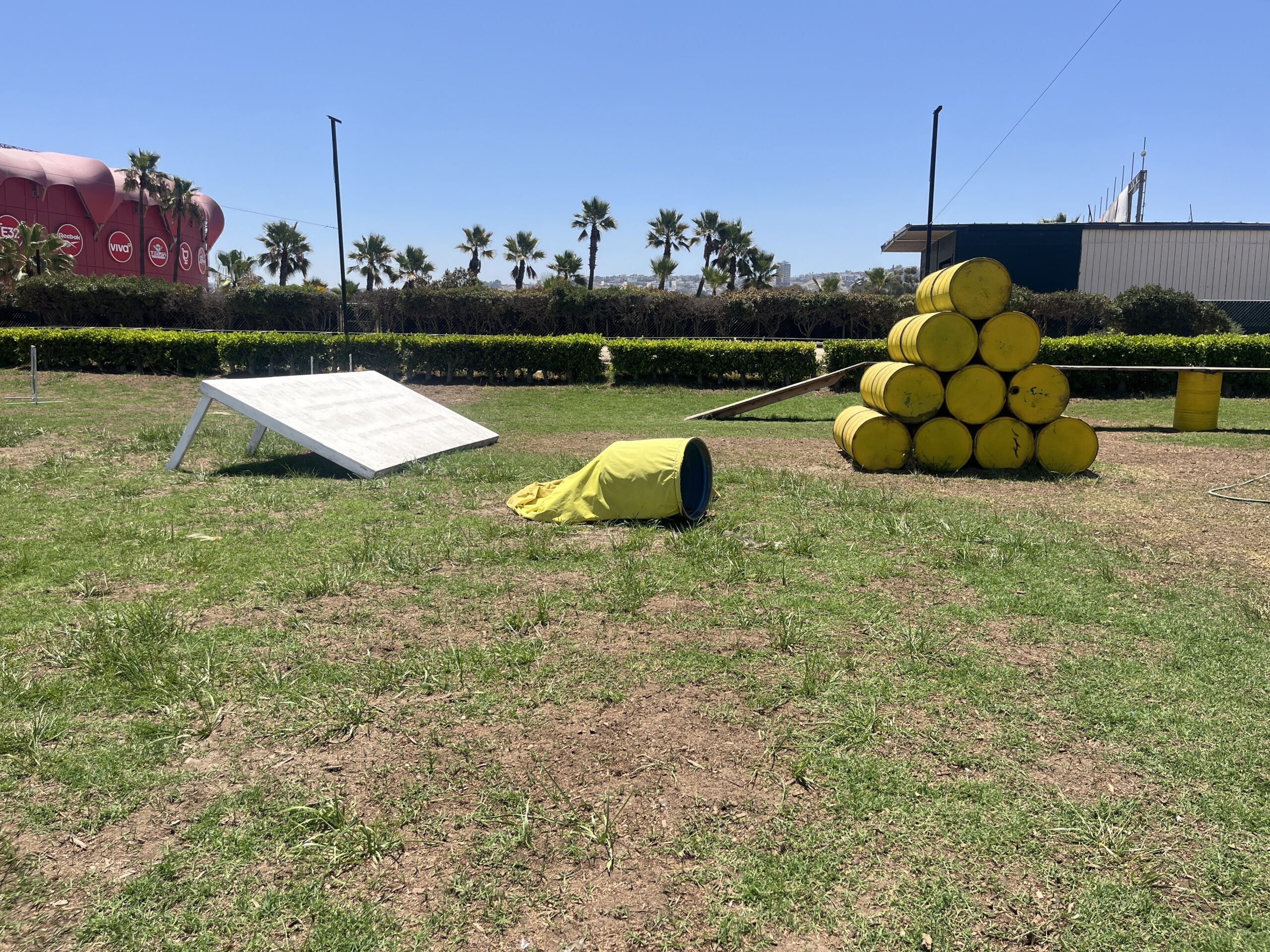 Parque Canódromo de Tijuana impulsa el bienestar y entrenamiento de perros.