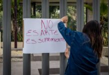Animalistas reúnen firmas para evitar corrida de Toros este domingo 5 de julio.