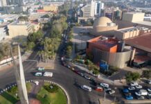 Autoridades afirman que han disminuido los «gaviotones» en la línea.
