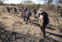 Buscadoras enfrentan amenazas y falta de apoyo gubernamental: Amnistía Internacional