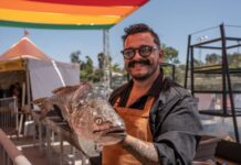 Realizan la primera edición de “Sabor a Tijuana 2026” con amplia oferta gastronómica y chefs invitados.