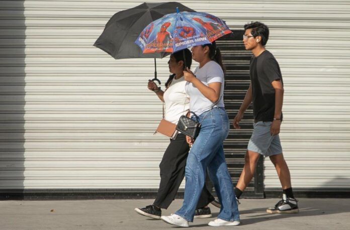 Calor Tijuana .