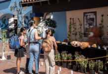 Familias tijuanenses despiden al Oso Yogi en el Parque Morelos.