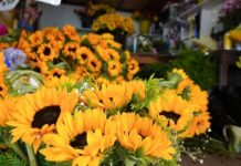 Flores amarillas disparan ventas en florerías de Tijuana por tendencia en redes sociales.