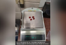 Extraditan a dos mexicanos a Texas por traficar menores y sedarlos con gomitas de THC.