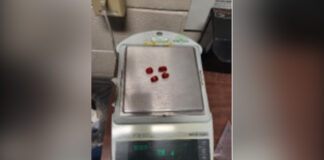 Extraditan a dos mexicanos a Texas por traficar menores y sedarlos con gomitas de THC.