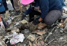 Identifican restos de dos adolescentes hallados en basurero