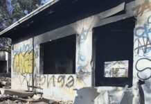 Predio abandonado se convierte en foco de inseguridad e incendios