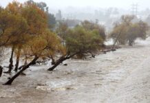 California declara emergencia por El Niño, esperan tormentas históricas, inundaciones y erosión costera.