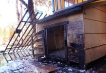 Tres perritos no logran salir de incendio en Mexicali; bomberos rescatan a uno.