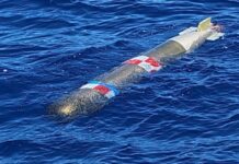 Marina recupera torpedo de prácticas flotando frente a costas de Ensenada.