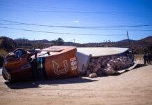 Volcó tráiler cargado con cebollas en la carretera Tecate-Ensenada.