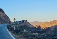 Localizan sin vida a Marlén Vázquez en un barranco de la carretera Ensenada-Tijuana.