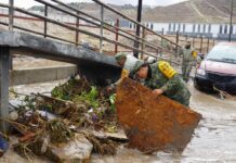 Alcalde advierte sanciones por tirar basura en Tijuana.