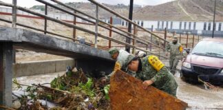 Alcalde advierte sanciones por tirar basura en Tijuana.