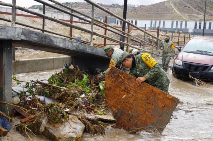 Basura desarenador .