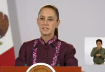 Sheinbaum aclaró que la UIF detectó irregularidades fiscales, pero no vínculos con el crimen organizado.