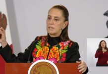 Sheinbaum avala renuncia de Guadalupe Taddei al INE y exige investigar presunta corrupción.